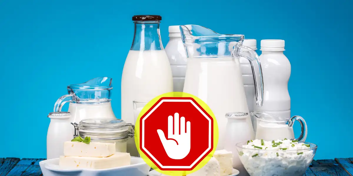 dairy products
