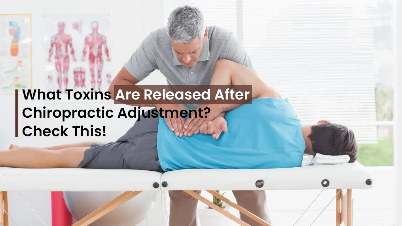 What Toxins Are Released After Chiropractic Adjustment? Check This!